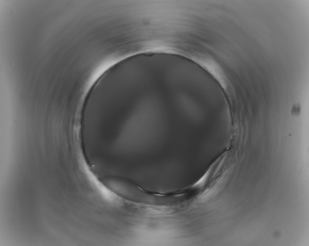 X0000091081007200709041237