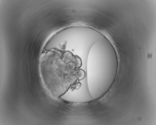 X0000091081008200709041237