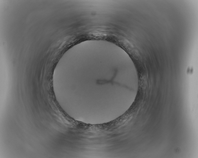 X0000091081009200709041236