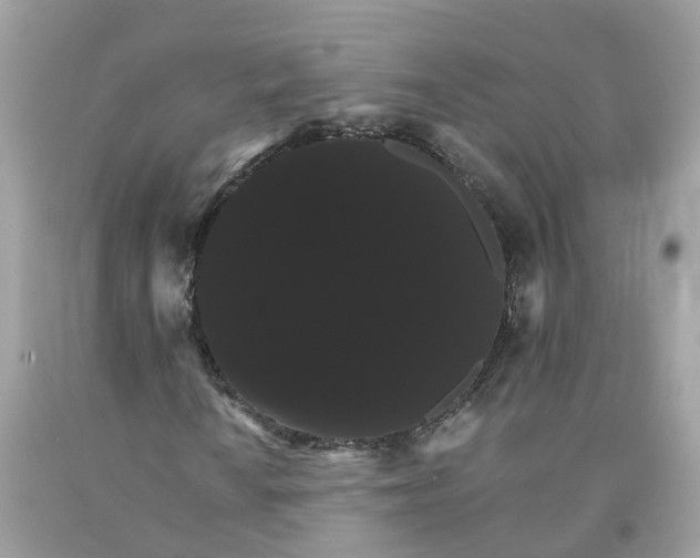 X0000091081010200709041236