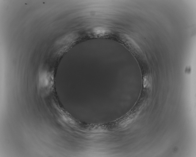 X0000091081011200709041236