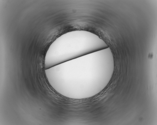 X0000091081012200709041236