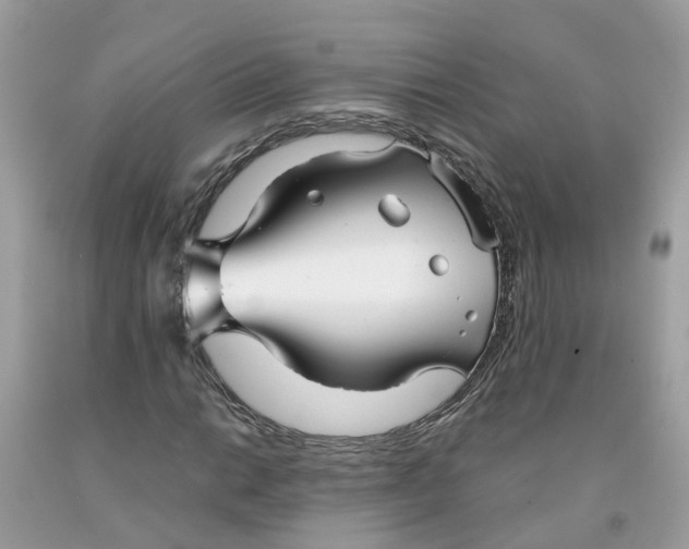 X0000091081014200709041236