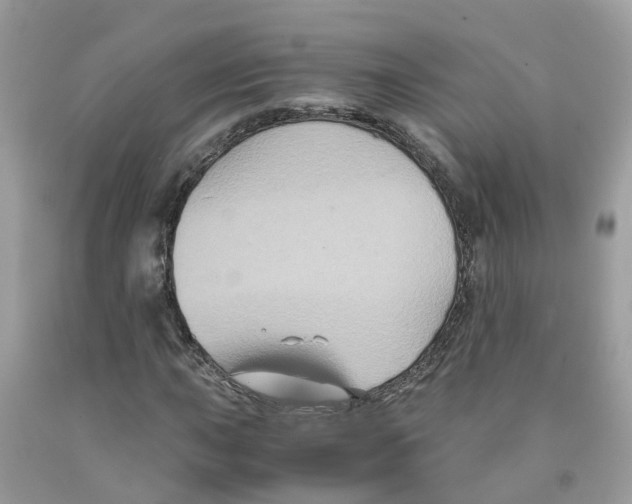 X0000091081015200709041236