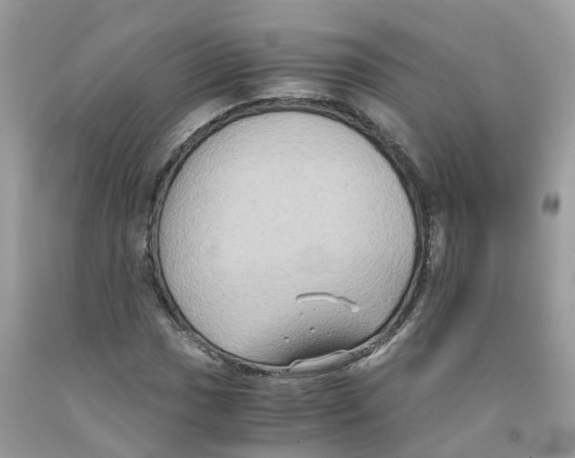 X0000091081017200709041236