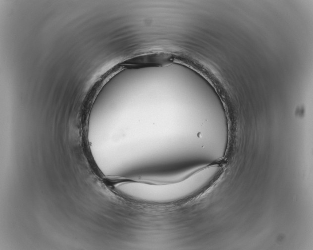 X0000091081018200709041236