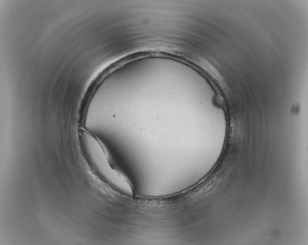 X0000091081020200709041236