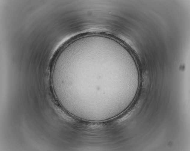 X0000091081021200709041236