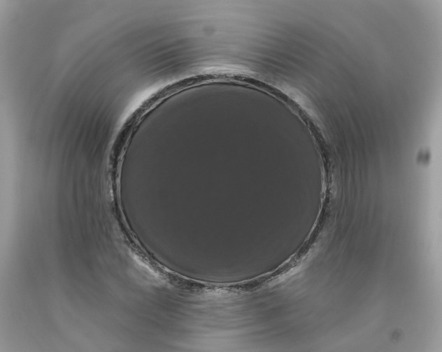 X0000091081022200709041236