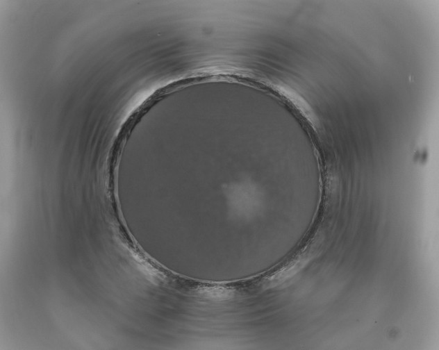 X0000091081023200709041236