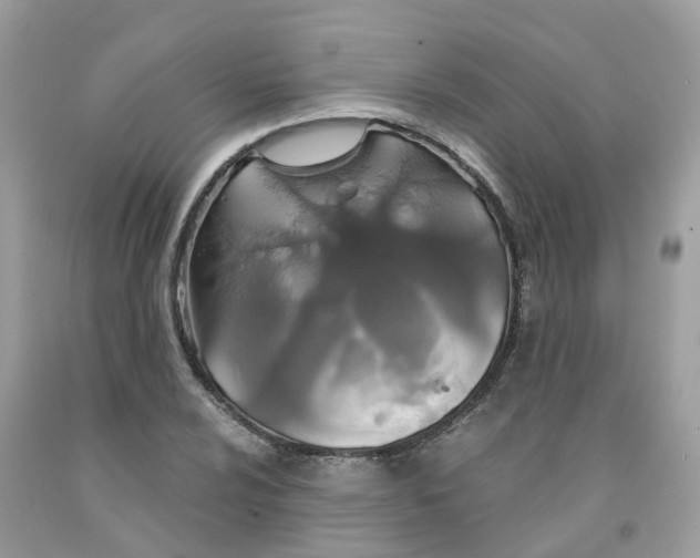 X0000091081024200709041236