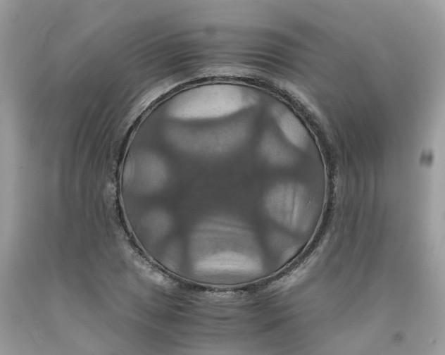 X0000091081025200709041236