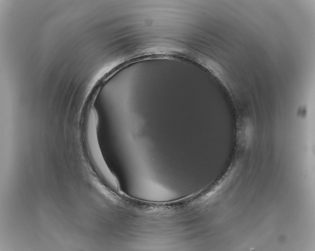 X0000091081026200709041236