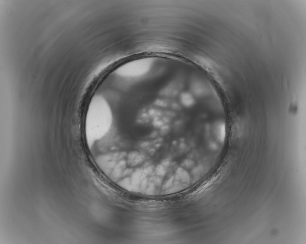 X0000091081027200709041236