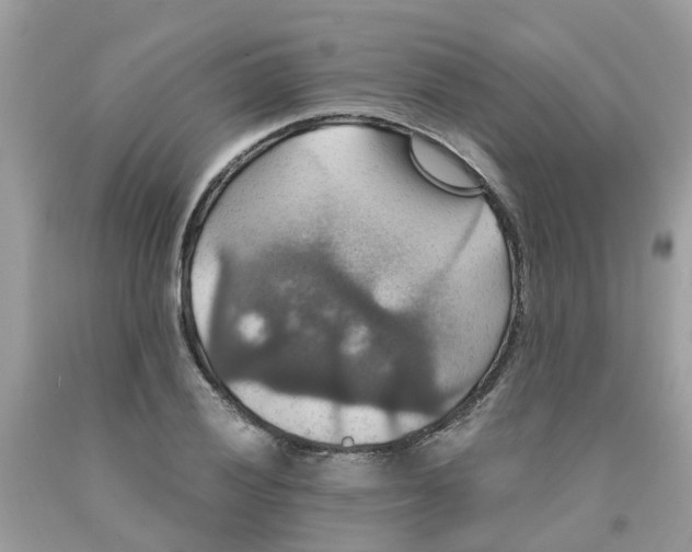 X0000091081028200709041236