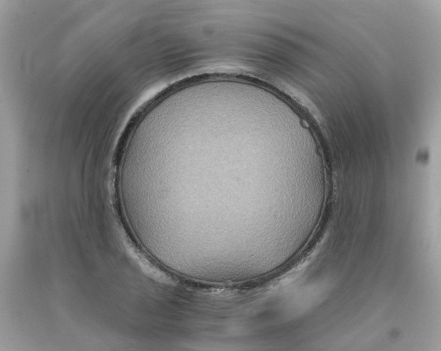 X0000091081029200709041236