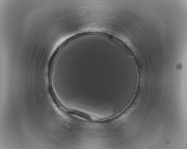 X0000091081030200709041236