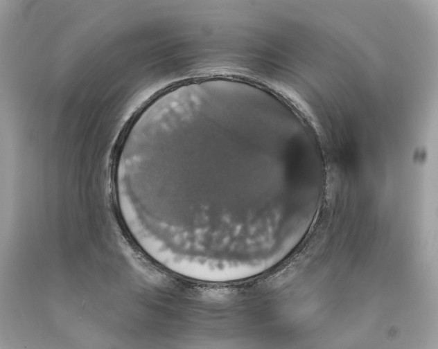 X0000091081031200709041236