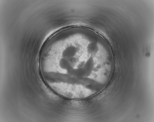 X0000091081032200709041236