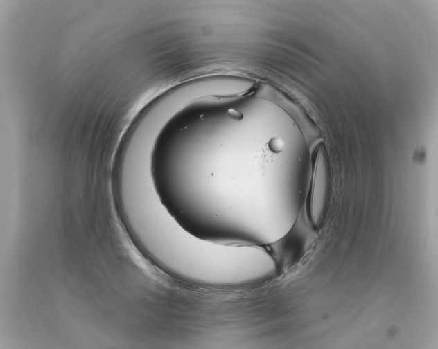 X0000091081034200709041236