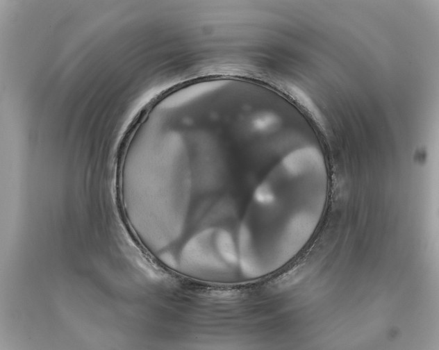 X0000091081035200709041236