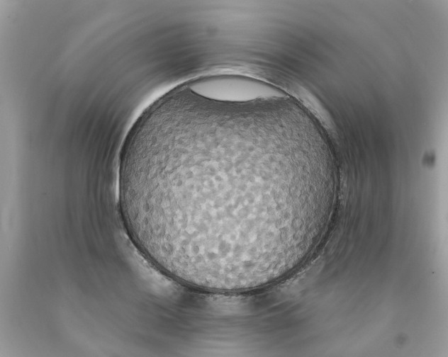 X0000091081036200709041236