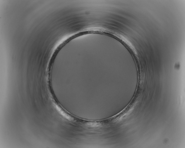 X0000091081037200709041236