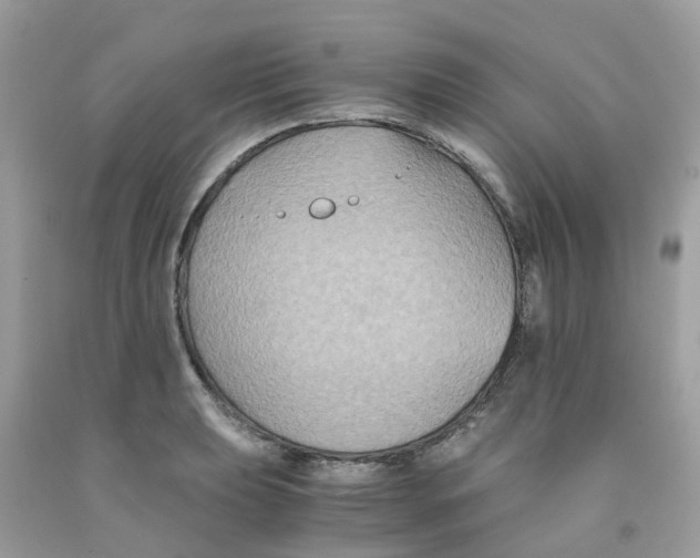 X0000091081039200709041236