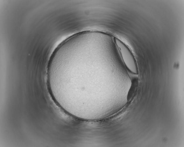 X0000091081040200709041236