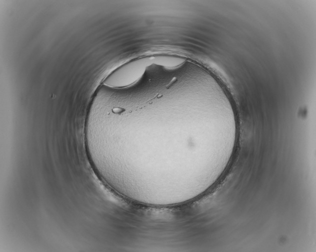 X0000091081041200709041236