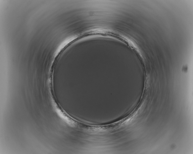 X0000091081042200709041237