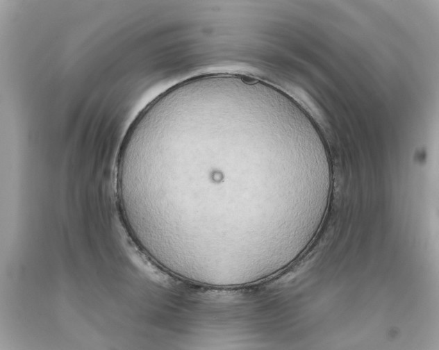 X0000091081044200709041237