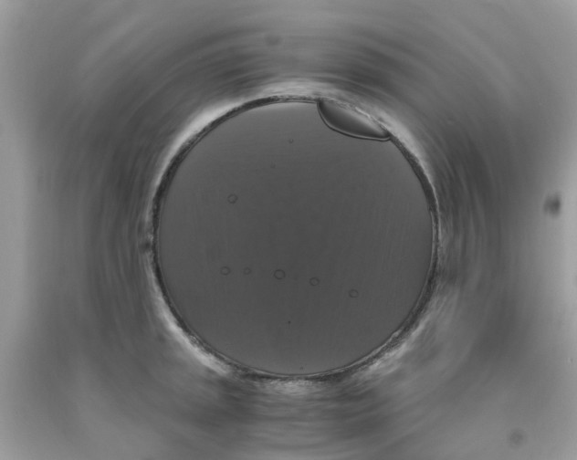 X0000091081045200709041237