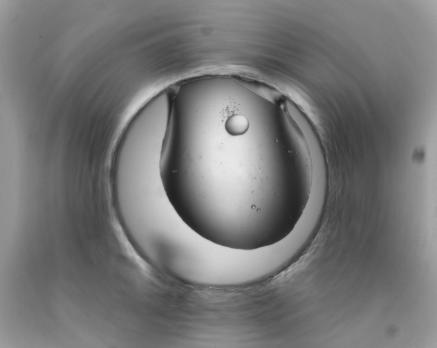 X0000091081046200709041237