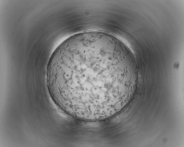 X0000091081047200709041237