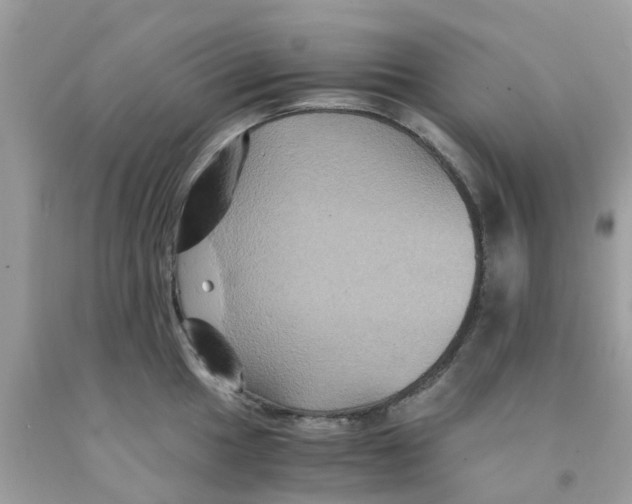 X0000091081049200709041237