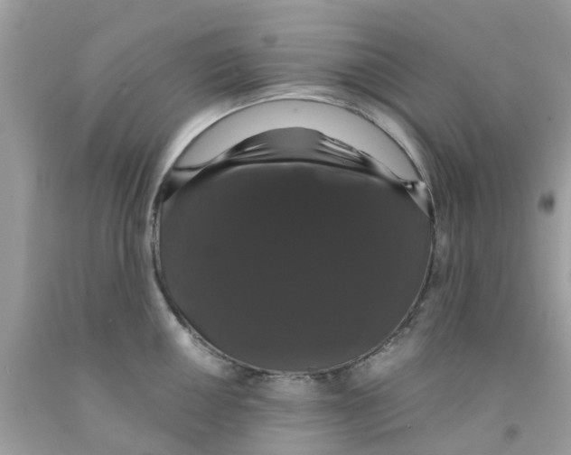 X0000091081050200709041237