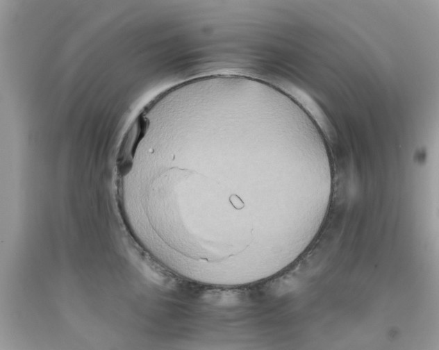 X0000091081051200709041237