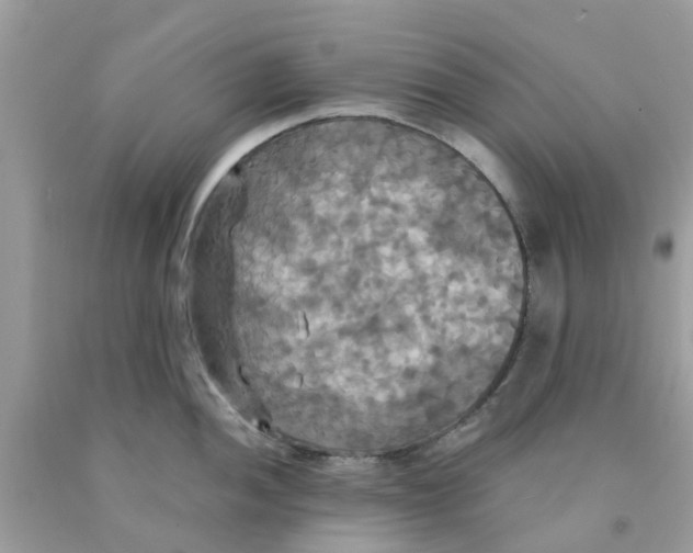 X0000091081052200709041237