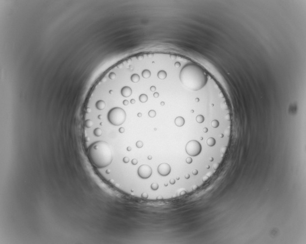 X0000091081053200709041237