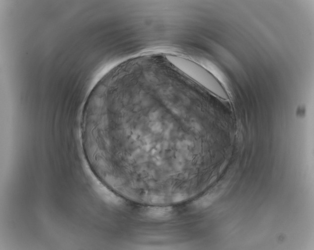 X0000091081055200709041237