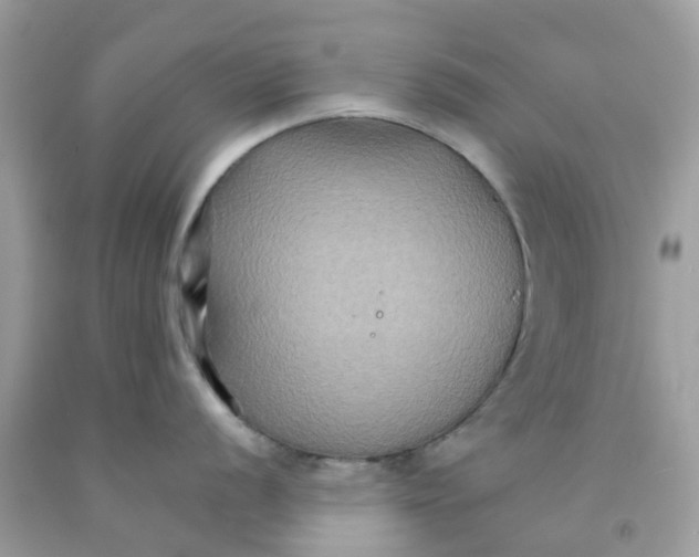 X0000091081056200709041237