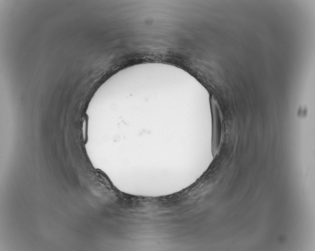 X0000091081057200709041236