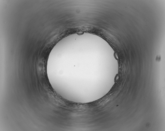 X0000091081058200709041236