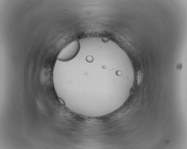 X0000091081059200709041236