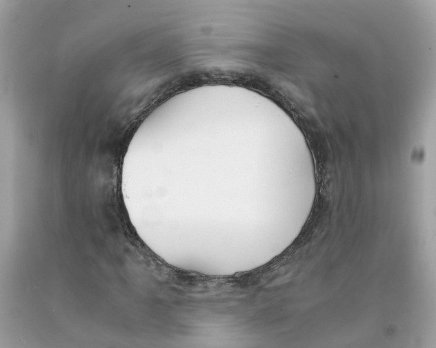 X0000091081061200709041236