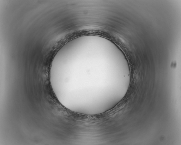 X0000091081062200709041236