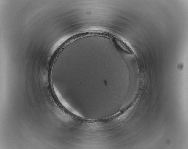 X0000091081066200709041236