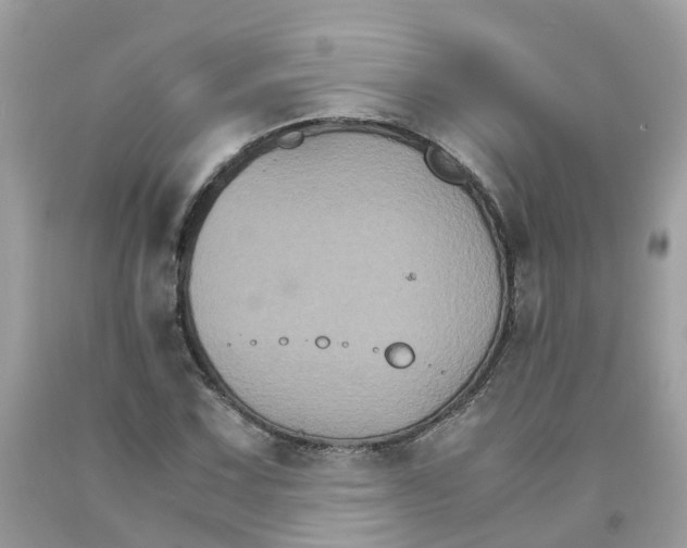 X0000091081067200709041236