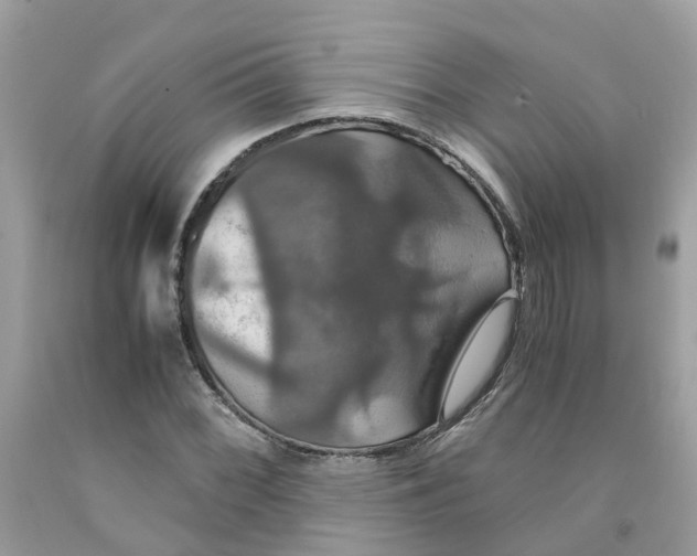 X0000091081068200709041236